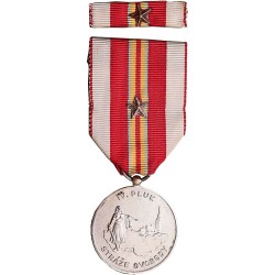 Medal - IV Regiment of the...