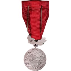 medals-for-merit-for-the-defence-of-the-homeland
