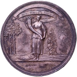 cechy-ag-medaile-ck-vlastenecko-hospodarske-spolecnosti-v-cechach