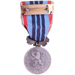 medal-for-loyalty-to-work-vm47-vn155