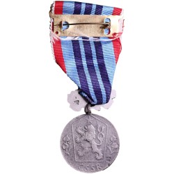 medal-for-loyalty-to-work-vm47-vn155
