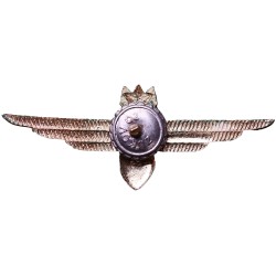 first-class-flight-leader-badge