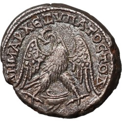 caracalla-211217-antioch-syria-tetradrachm